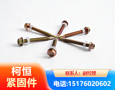 黄南六角钻尾丝